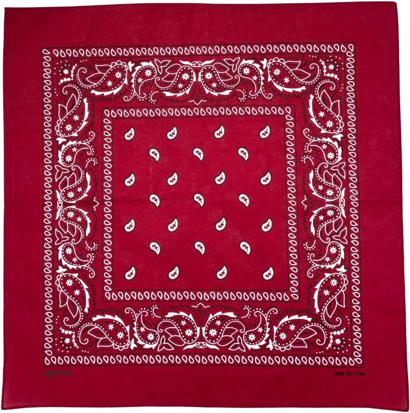 MD Style 3 PCS 100% Cotton Bandana for Men & Women 22" x 22" Paisely Pattern Handkerchief Headband Scarf - Image 3